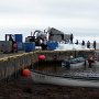 <p align=left>La brume et le froid annonce le retour du capelan à Eddy's Cove